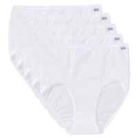 Taillenslip mit Gummibund Multipacks - Basic 9826 Baumwolle+Elasthan