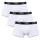 White (M0066)